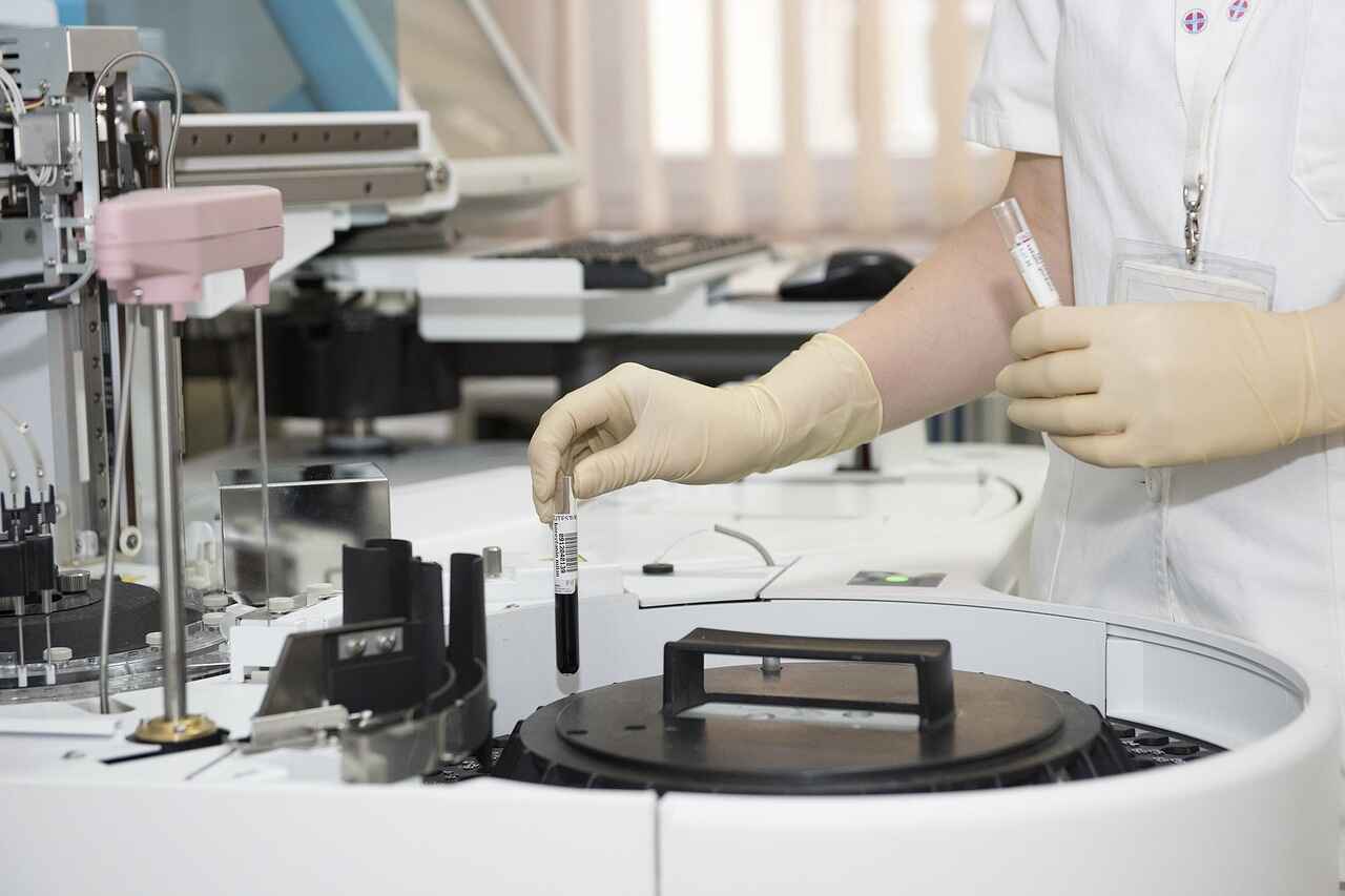 Typhoid In Hindi